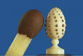 Диво под микроскопом